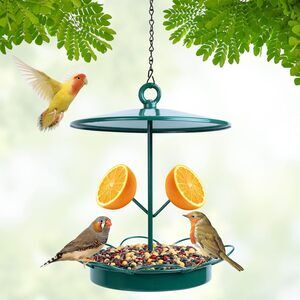 Hanging Metal Bird Feeder Outdoor Wild Bird Food Tray with Fruit Holder Green